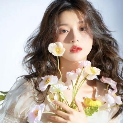 钉刺者们：警视厅诱饵搜查检证室